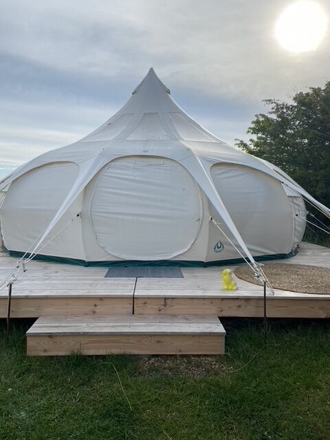 Gul Hund – 6 personer (mulighed for ekstra opredning)