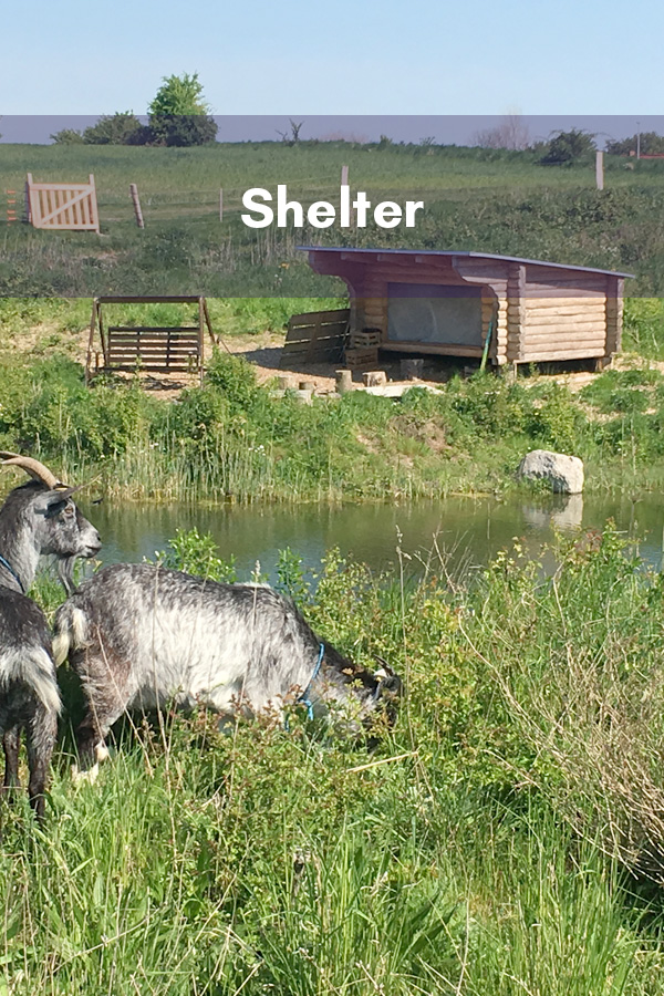 Shelter