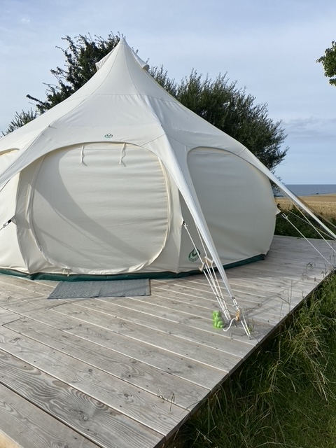 Festival camping