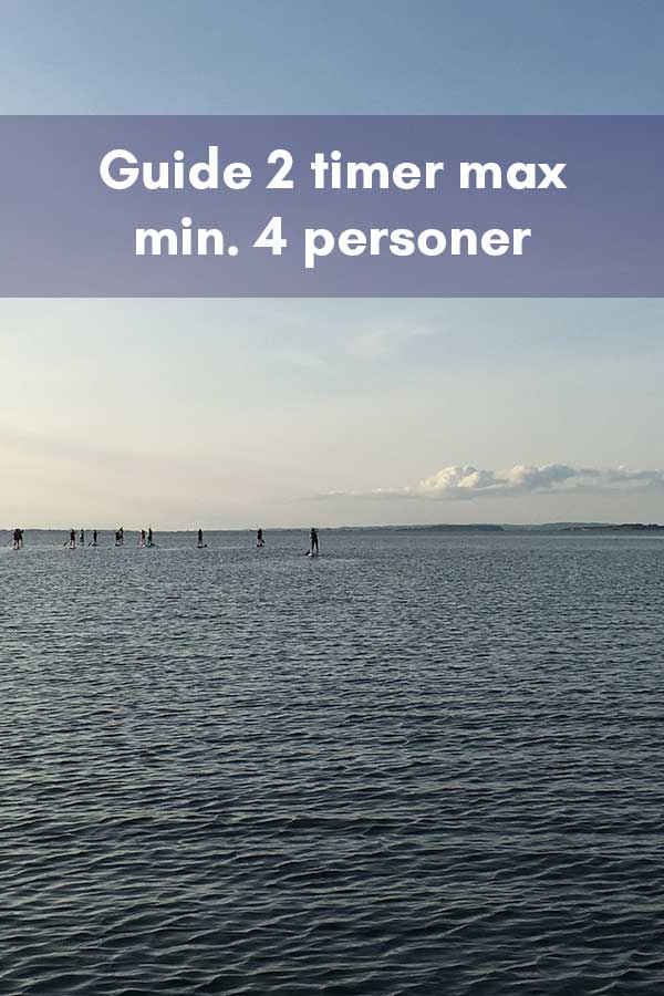 SUP guide 2 timer